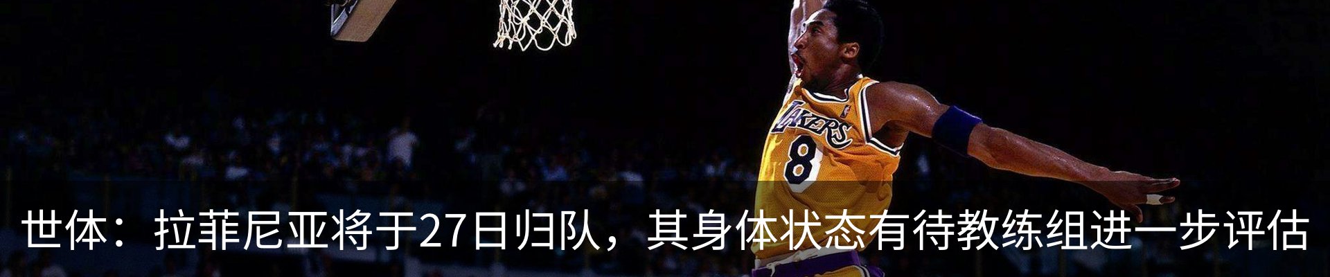 最新动态