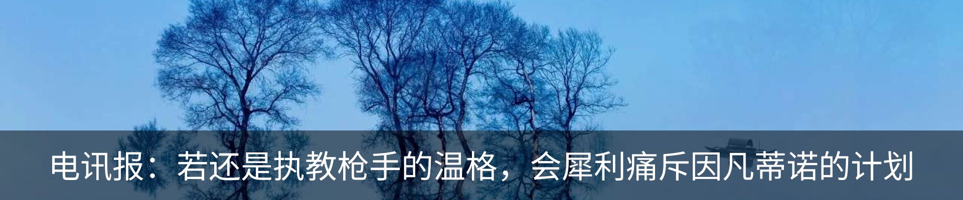 最新动态