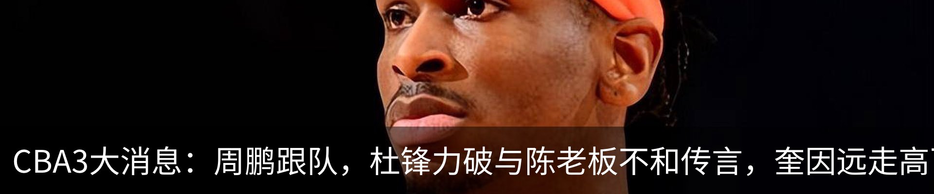 最新动态